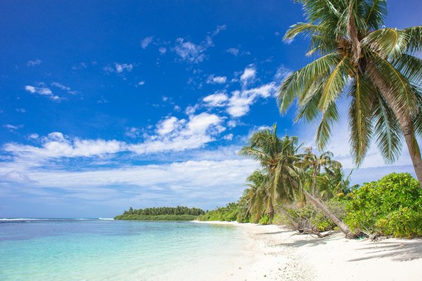 Embark on a Rhythmic Adventure: The Complete Guide to Highland Dance Workshops in Inverness